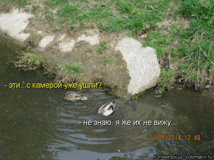 Котоматрица: - эти...с камерой уже ушли? - не знаю, я же их не вижу...