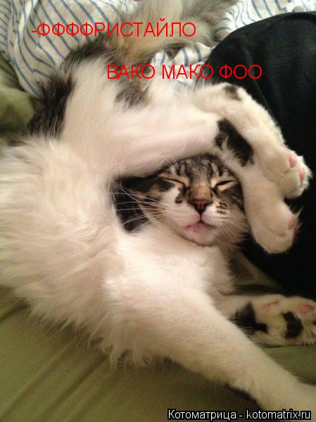 Котоматрица: -ФФФФРИСТАЙЛО ВАКО МАКО ФОО