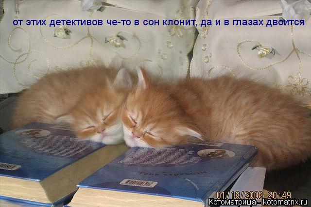 Котоматрица: от этих детективов че-то в сон клонит, да и в глазах двоится