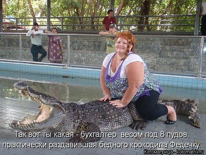 Котоматрица: Так вот ты какая - бухгалтер  весом под 8 пудов, практически раздавившая бедного крокодила Федечку.