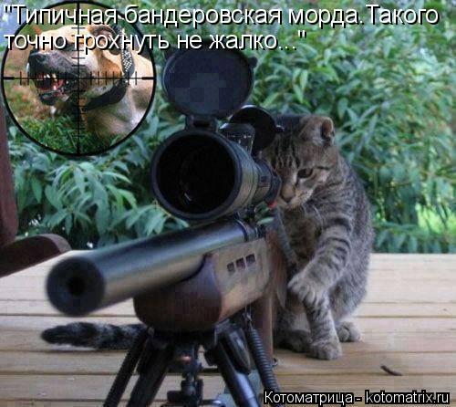 Котоматрица: "Типичная бандеровская морда.Такого точно грохнуть не жалко..."