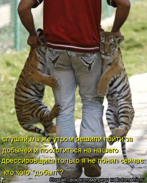 Котоматрица: слушай,мы же утром решили пойти за  дрессировщика!только я не понял сейчас: кто кого "добыл"? добычей и поохотиться на нашего