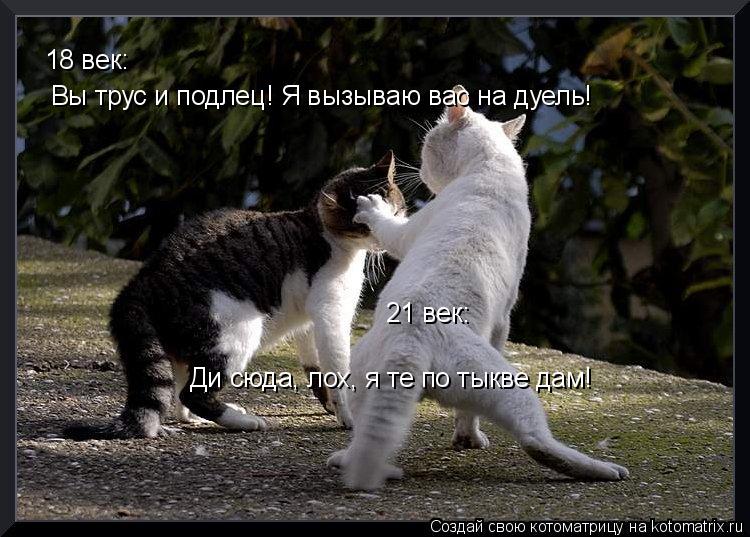 Котоматрица: 18 век:  Вы трус и подлец! Я вызываю вас на дуель! 21 век: Ди сюда, лох, я те по тыкве дам!