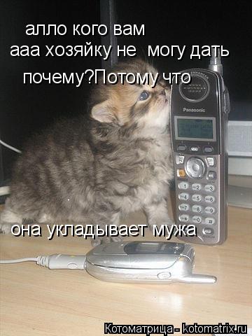 Котоматрица: алло кого вам ааа хозяйку не  могу дать почему?Потому что  она укладывает мужа