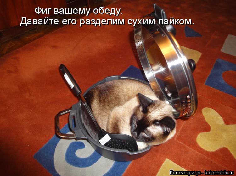 Котоматрица: Фиг вашему обеду. Давайте его разделим сухим пайком.