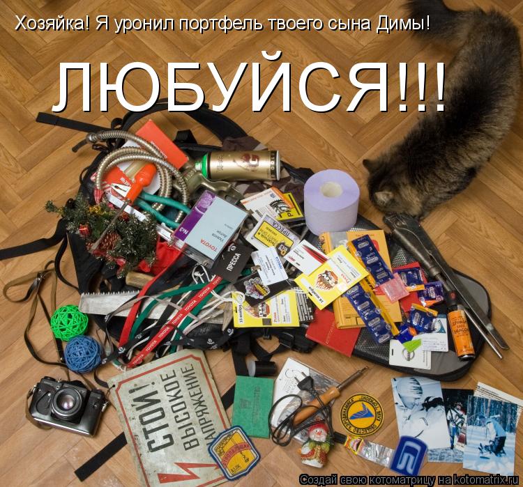 Котоматрица: Хозяйка! Я уронил портфель твоего сына Димы! ЛЮБУЙСЯ!!!
