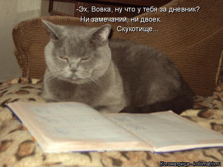 Котоматрица: -Эх, Вовка, ну что у тебя за дневник? Ни замечаний, ни двоек. Скукотище...