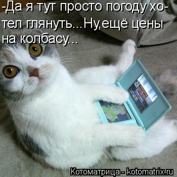 Котоматрица: -Да я тут просто погоду хо- тел глянуть...Ну,ещё цены на колбасу...