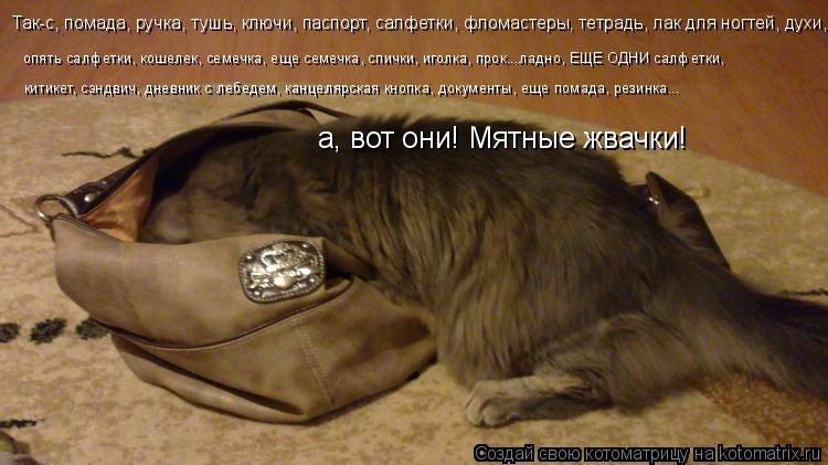 Котоматрица: Так-с, помада, ручка, тушь, ключи, паспорт, салфетки, фломастеры, тетрадь, лак для ногтей, духи,   опять салфетки, кошелек, семечка, еще семечка, 