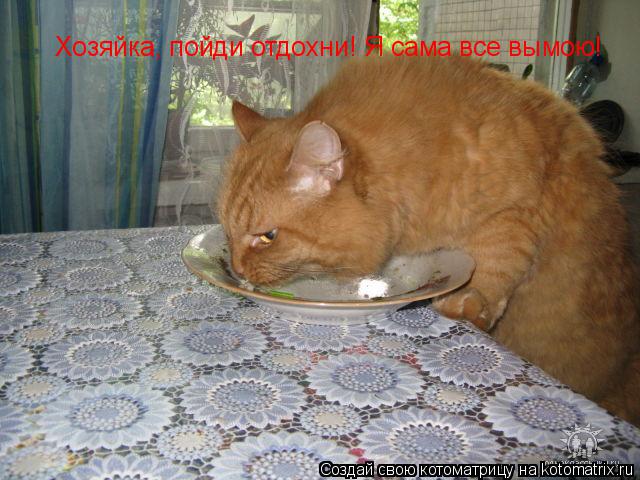 Котоматрица: Хозяйка, пойди отдохни! Я сама все вымою!