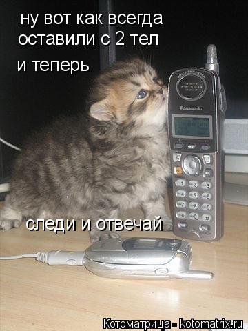 Котоматрица: ну вот как всегда оставили с 2 тел и теперь  следи и отвечай