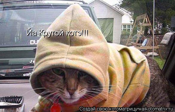 Котоматрица: Йа Крутой котэ!!!