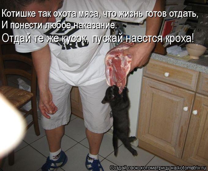Котоматрица: Котишке так охота мяса, что жизнь готов отдать, И понести любое наказание. Отдай те же кусок, пускай наестся кроха!