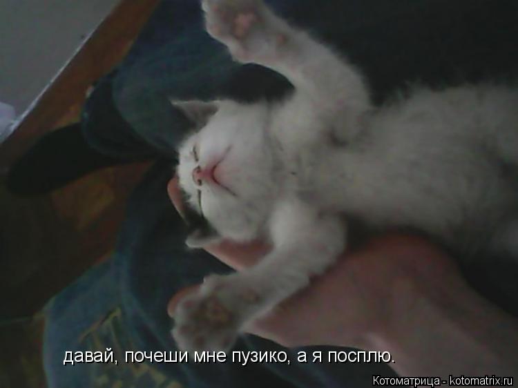 Котоматрица: давай, почеши мне пузико, а я посплю.