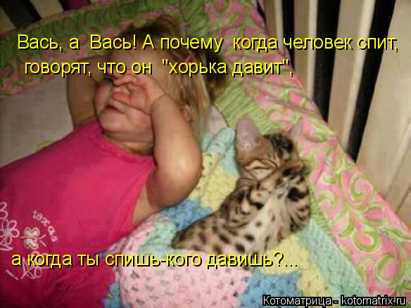 Котоматрица: Вась, а  Вась! А почему  когда человек спит, говорят, что он  "хорька давит",  а когда ты спишь-кого давишь?...