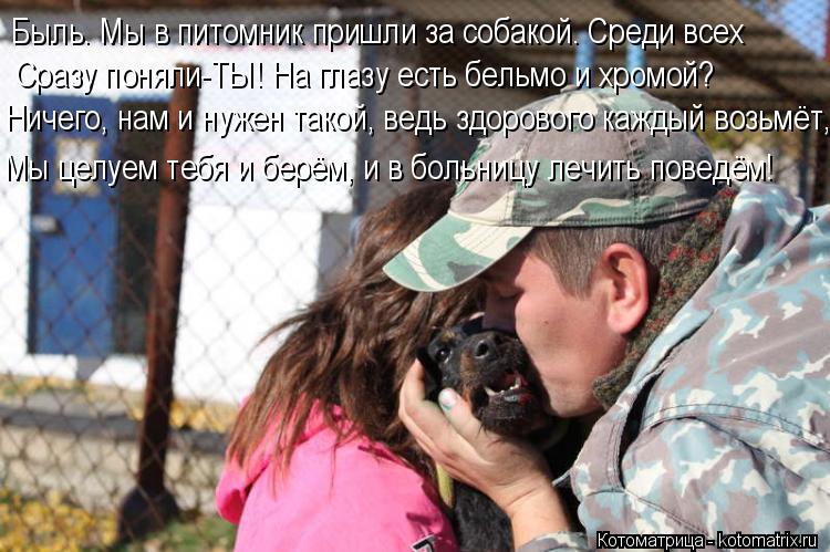 Котоматрица: Быль. Мы в питомник пришли за собакой. Среди всех Сразу поняли-ТЫ! На глазу есть бельмо и хромой? Ничего, нам и нужен такой, ведь здорового каж