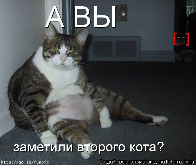 Котоматрица: А ВЫ заметили второго кота? [ ]