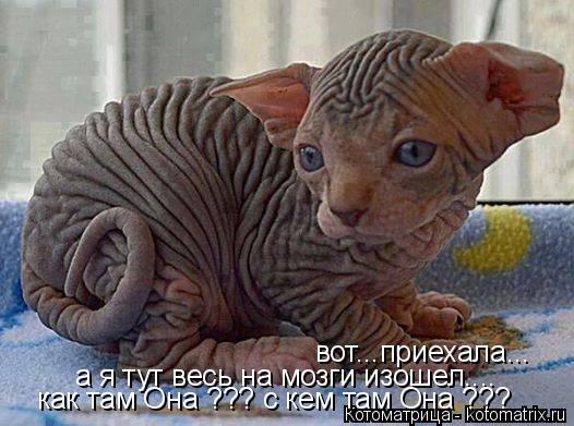 вот...приехала... а я тут весь на мозги изошел.... как там Она ??? с кем там Она ???... Котоматрица: вот...приехала... а я тут весь на мозги изошел.... как там Она ??? с кем там Она ???