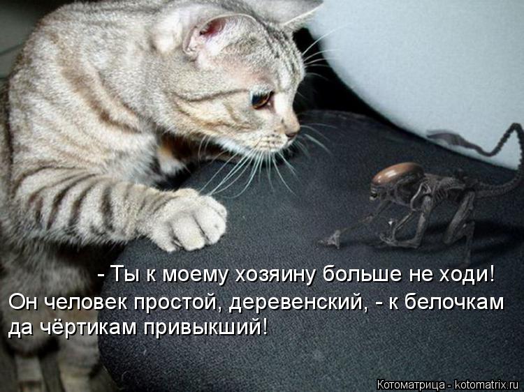 Котоматрица: - Ты к моему хозяину больше не ходи! Он человек простой, деревенский, - к белочкам  да чёртикам привыкший!