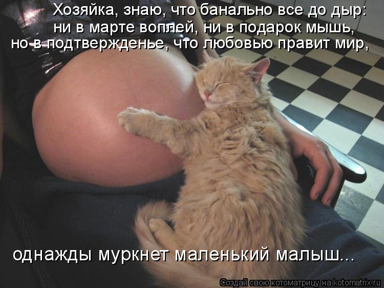 Котоматрица: Хозяйка, знаю, что банально все до дыр: ни в марте воплей, ни в подарок мышь,  но в подтвержденье, что любовью правит мир,  однажды муркнет мале