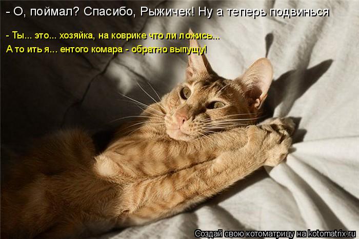 Котоматрица: - О, поймал? Спасибо, Рыжичек! Ну а теперь подвинься - Ты... это... хозяйка, на коврике что ли ложись... А то ить я... ентого комара - обратно выпущу!