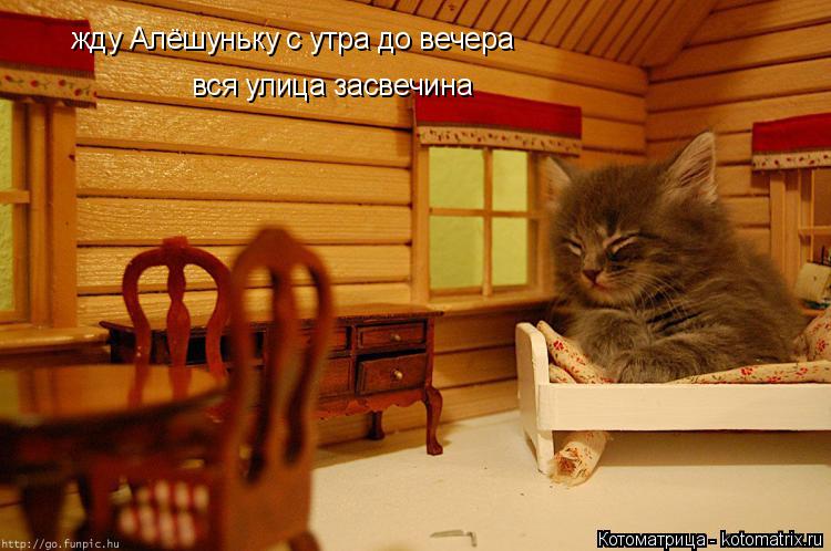 Котоматрица: жду Алёшуньку с утра до вечера вся улица засвечина