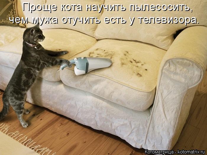 Котоматрица: Проще кота научить пылесосить, чем мужа отучить есть у телевизора.