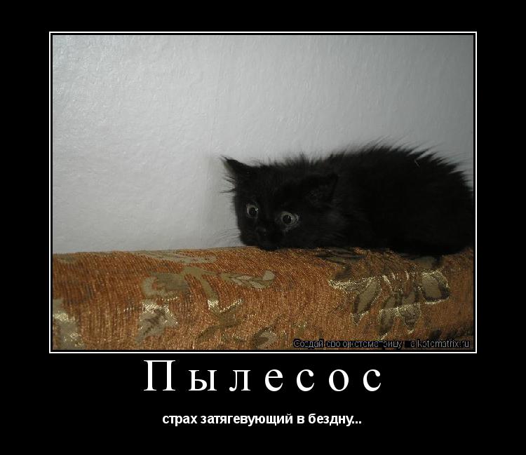 Котоматрица: Пылесос страх затягевующий в бездну...