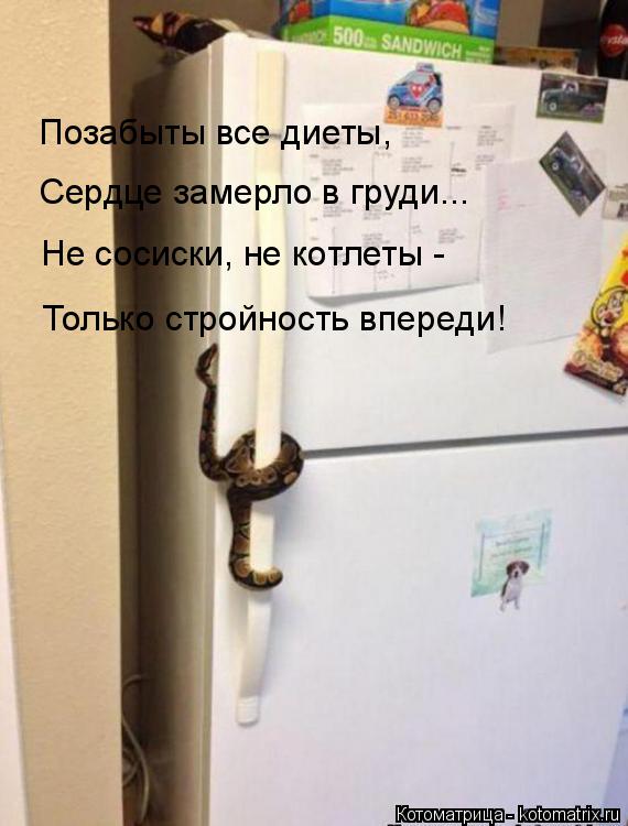 Позабыты все диеты, Сердце замерло в груди... Не сосиски, не котлеты - Только стройность впереди!... Котоматрица: Позабыты все диеты, Сердце замерло в груди... Не сосиски, не котлеты - Только стройность впереди!