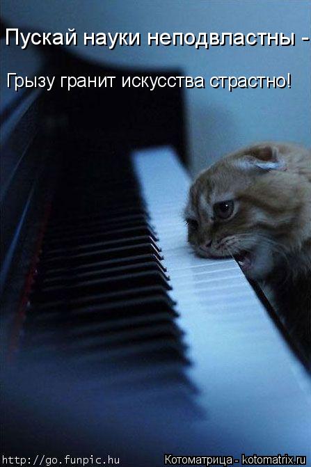 Котоматрица: Пускай науки неподвластны -  Грызу гранит искусства страстно!