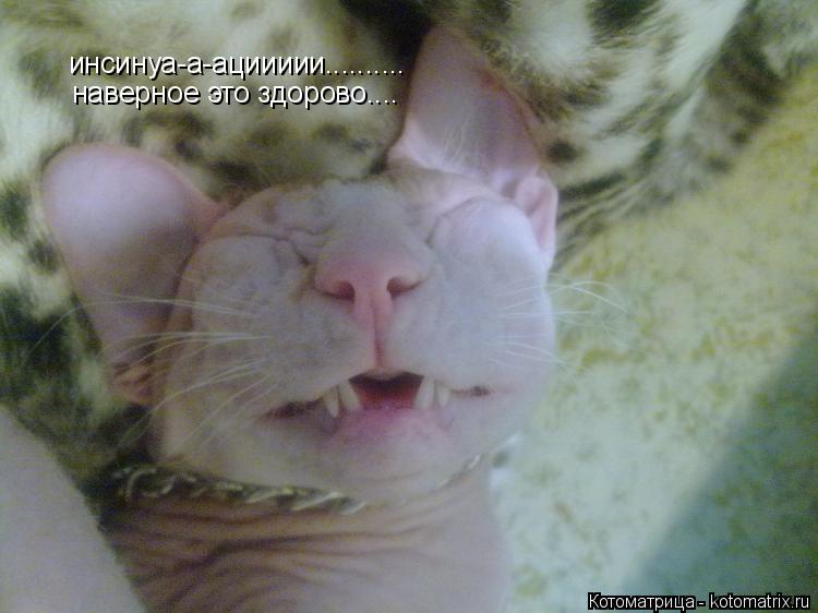 инсинуа-а-ациииии.......... наверное это здорово....... Котоматрица: инсинуа-а-ациииии.......... наверное это здорово....