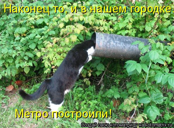Котоматрица: Наконец то, и в нашем городке. Метро построили!