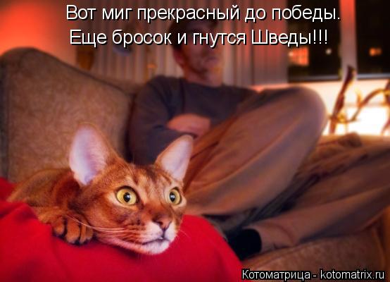 Вот миг прекрасный до победы. Еще бросок и гнутся Шведы!!!... Котоматрица: Вот миг прекрасный до победы. Еще бросок и гнутся Шведы!!!
