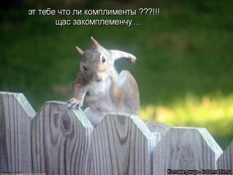эт тебе что ли комплименты ???!!! щас закомплеменчу........ Котоматрица: эт тебе что ли комплименты ???!!! щас закомплеменчу.....