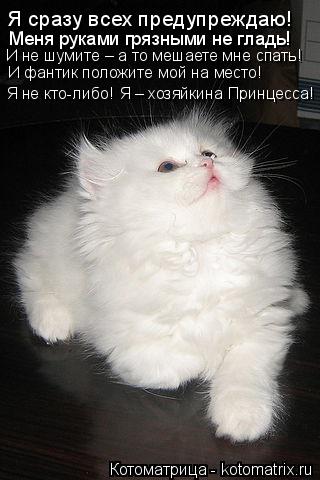 Котоматрица: Я сразу всех предупреждаю! Меня руками грязными не гладь! И не шумите – а то мешаете мне спать! И фантик положите мой на место! Я не кто-либо! 