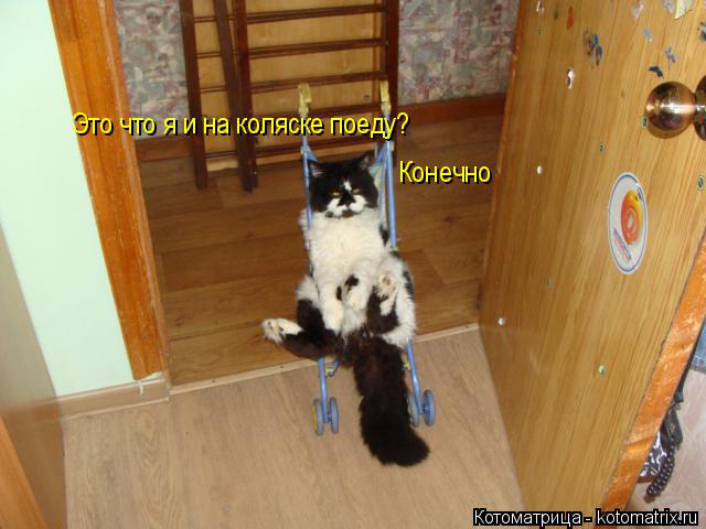 Котоматрица: Это что я и на коляске поеду? Конечно
