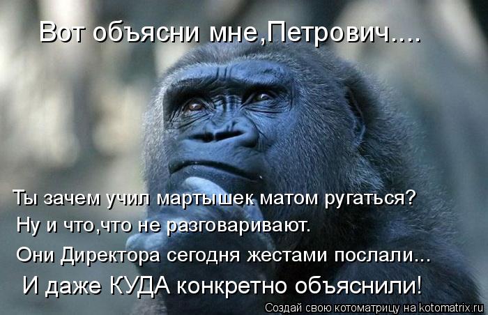 То матом ругаюсь стих То матом ругаюсь стих