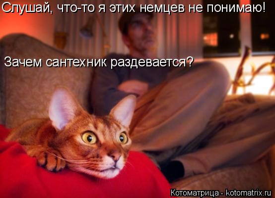 Котоматрица: Слушай, что-то я этих немцев не понимаю! Зачем сантехник раздевается?