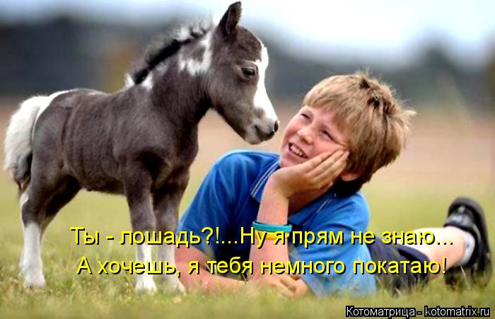 Котоматрица: Ты - лошадь?!...Ну я прям не знаю... А хочешь, я тебя немного покатаю!
