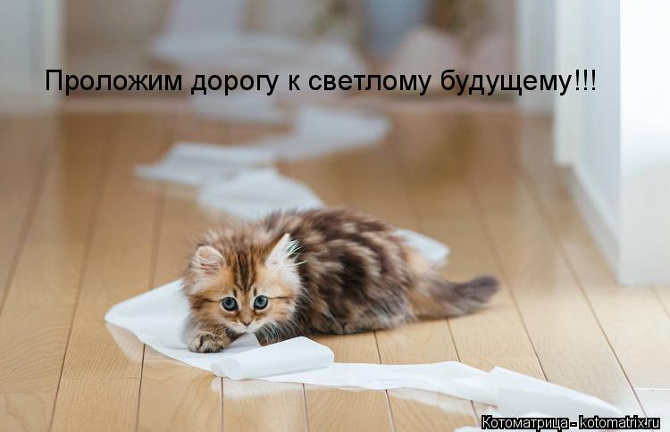 Котоматрица: Проложим дорогу к светлому будущему!!!