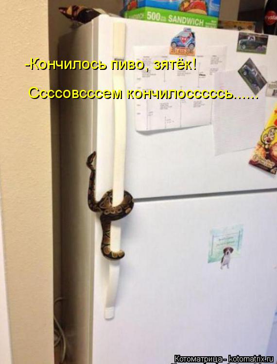 -Кончилось пиво, зятёк! Ссссовсссем кончилосссссь......... Котоматрица: -Кончилось пиво, зятёк! Ссссовсссем кончилосссссь......