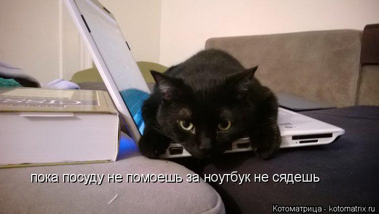Котоматрица: пока посуду не помоешь за ноутбук не сядешь