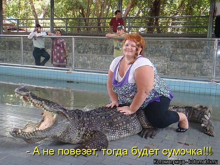 Котоматрица: - А не повезет, тогда будет сумочка!!!
