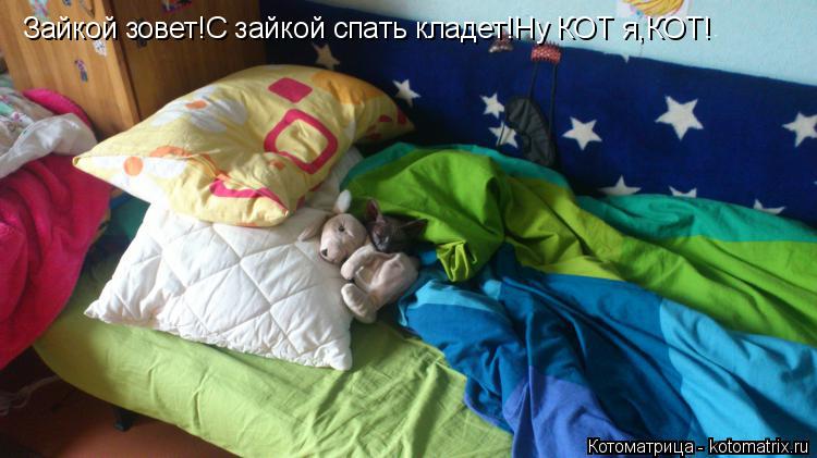 Котоматрица: Зайкой зовет!С зайкой спать кладет!Ну КОТ я,КОТ!