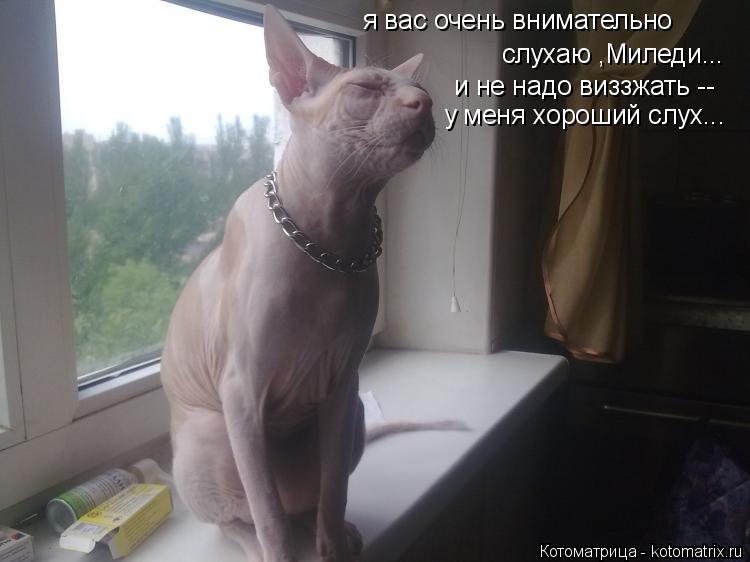 я вас очень внимательно слухаю ,Миледи... и не надо виззжать -- у меня хороший слух...... Котоматрица: я вас очень внимательно слухаю ,Миледи... и не надо виззжать -- у меня хороший слух...
