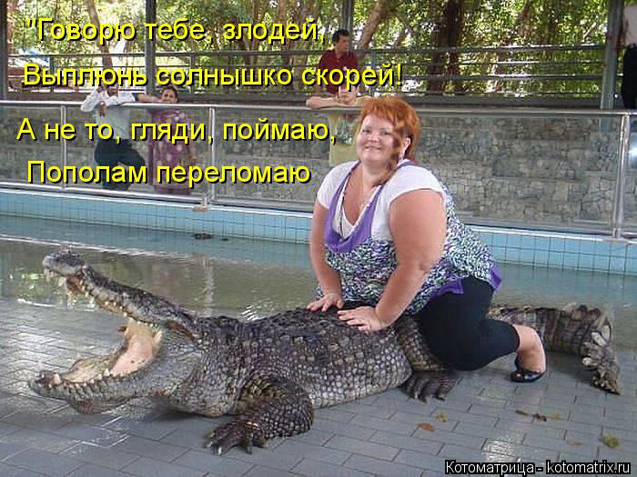 Котоматрица: Пополам переломаю А не то, гляди, поймаю, Выплюнь солнышко скорей! "Говорю тебе, злодей,