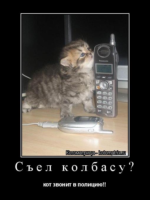 Котоматрица: Съел колбасу? кот звонит в полицию!!