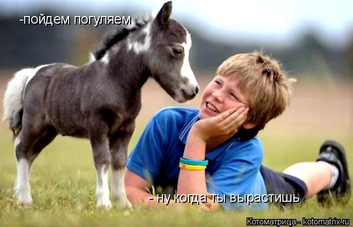 Котоматрица: -пойдем погуляем - ну когда ты вырастишь