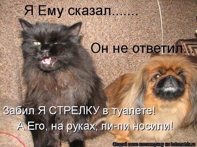 Котоматрица: Я Ему сказал....... Он не ответил... Забил Я СТРЕЛКУ в туалете! А Его, на руках, пи-пи носили!