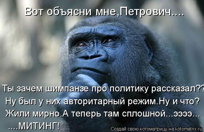 Котоматрица: Вот объясни мне,Петрович.... Ты зачем шимпанзе про политику рассказал???. Ну был у них авторитарный режим.Ну и что? Жили мирно.А теперь там спло